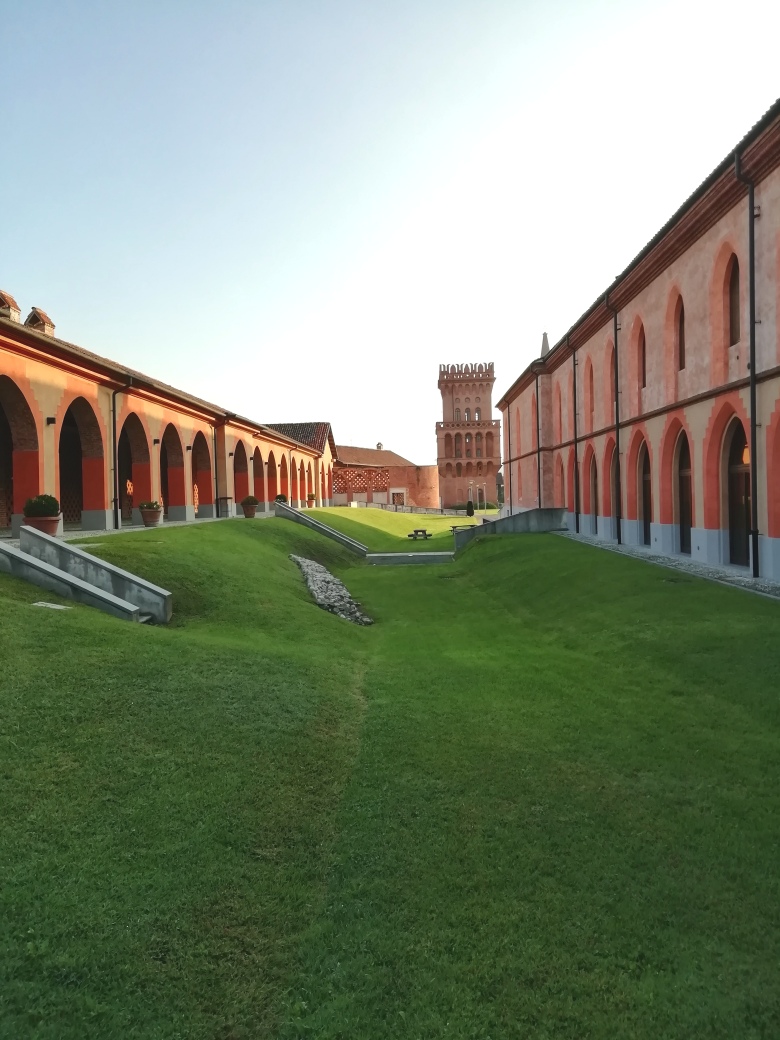 IMG 20220904 082319 resized 20220905 012514918