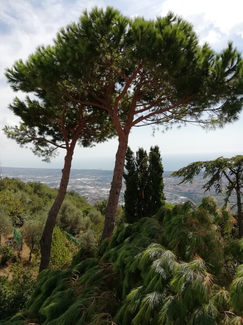 IMG 20220901 142801 resized 20220902 124618037