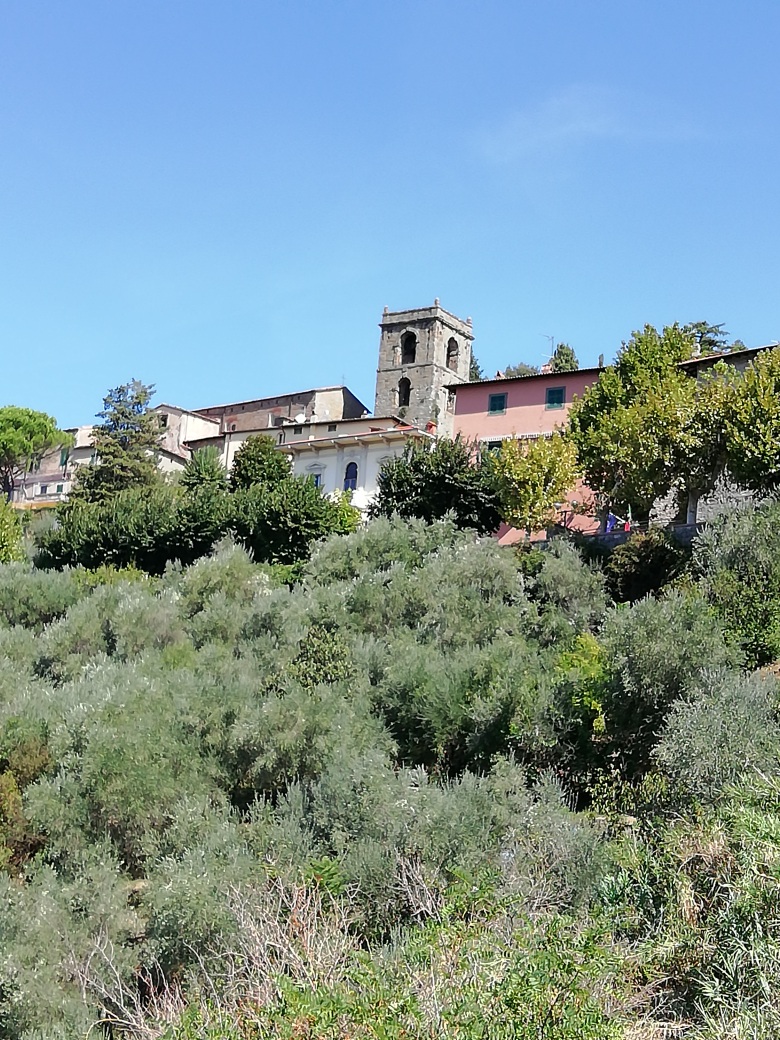 IMG 20220902 112254 resized 20220903 011143934